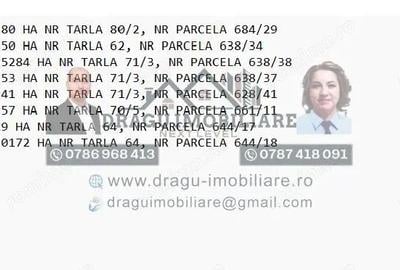 Teren de 75000 mp, în Munteni - 1