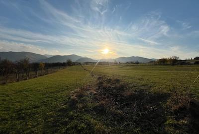 Teren de 2000 mp, în Rășinari - 3