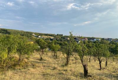 Teren intravilan, localitatea Gageni-Prahova. - 6
