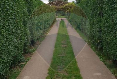 Casă cu 7 camere decomandat cu Teren 1461 Mp în Brănești - 2