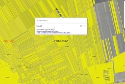 Teren agricol extravilan de 2.0889999866486 mp, în Salcia Tudor - 5