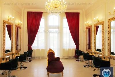 Vila cu 14 camere de vanzare, zona Ultracentral, 327 mp #13125 - 4