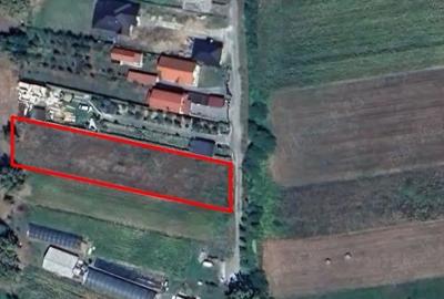 Spațiu comercial, în Coltău