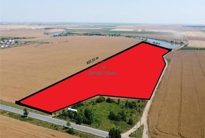 Teren de 91500 mp, în Central