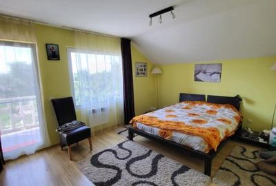 Casa Serbanesti( la 10 minute de Centrul Bacaului) - 5