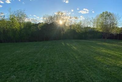 Casa spatioasa cu etaj 280mp, teren 1670mp, garaj,foisor,beci,fantana - 2