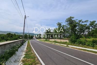 Teren Construcții intravilan de 178599 mp, în Runcu - 2