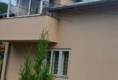Casă cu 4 camere în Lepșa - 8