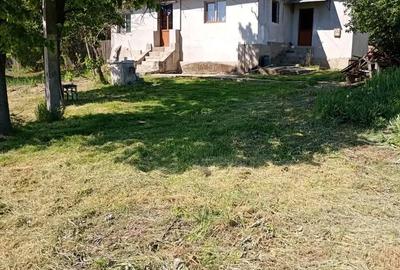 Casă cu 3 camere în Ciocănești - 2