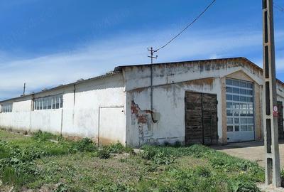 Spațiu comercial, de 600 mp, în Hălchiu - 2