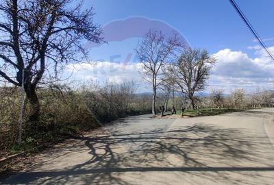 Teren intravilan pentru casa Carbunari - 8