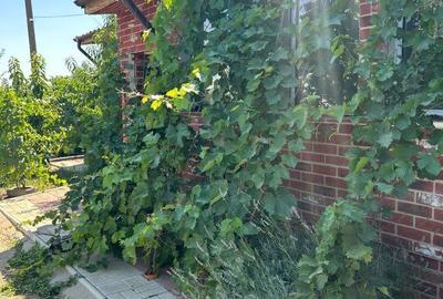 Casă cu 8 camere cu Garaj în Frumușani - 4