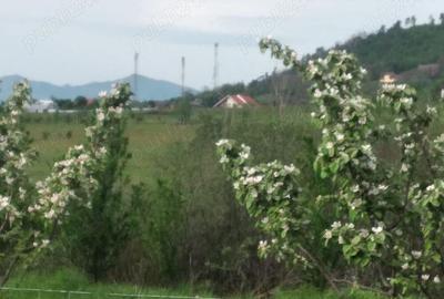 Teren de 2500 mp, în Central - 3