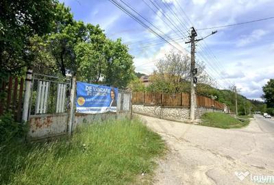 Casă cu 3 camere cu Teren 4696 Mp în Central - 6