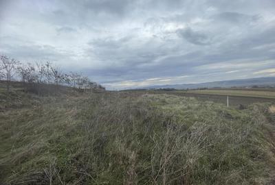 Teren de vanzare, 2900 mp, Cuzdrioara - 2