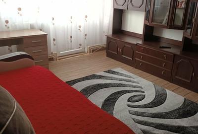 Apartament cu 2 camere decomandat în Craiovița Nouă - 4