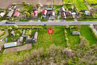 Teren Construcții intravilan de 10000 mp, în Forăști - 6