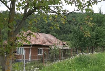 Vand casa cu 2  cam. +dependinte in Ceoasul de Campie Vand casa cu 2  cam. +dependinte in Ceoasul de Campie - 2