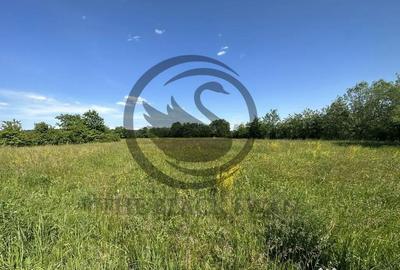 Teren de 11000 mp, în Ghirdoveni - 12