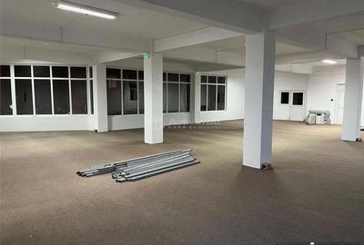 Resita,Spatii Open Space, 160 mp. 230 mp.300 mp. Central Govandari - 7