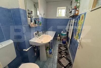 Apartament cu 2 camere semidecomandat în Gojdu - 14