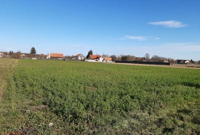 Vanzare teren intravilan construibil Lunca Calnicului - 8