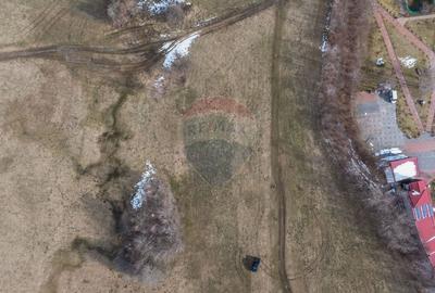 Teren Construcții intravilan de 4500 mp, în Tohanu Nou - 8