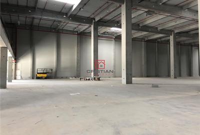 Spațiu comercial, de 5,750 mp, în Ciorogârla - 4