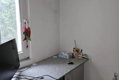 Garsonieră semidecomandată, mobilată în Teiul Doamnei - 7