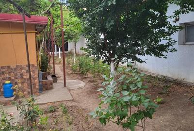 Casă cu 4 camere în Coiciu - 2