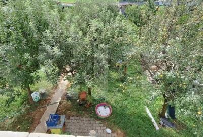 Casă cu 4 camere cu Teren 1000 Mp în Careiului - 2