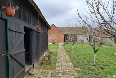 Vand casa nemteasca - 2