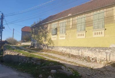 Vand casa Socolari Vand casa Socolari - 4