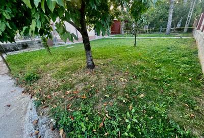 Ocazie! Casa pe parter stradal 3 cam si teren 567 mp - 2