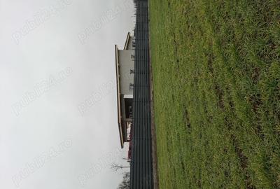 Casa de vanzare balotesti - 6