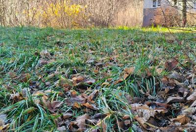 Teren Construcții intravilan de 800 mp, în Central - 3