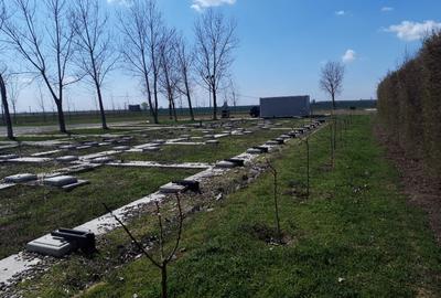 Vând Spațiu Agrobusiness - 3