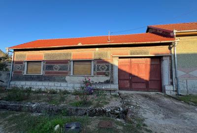 Casă cu 3 camere în Mâtnicu Mare - 1