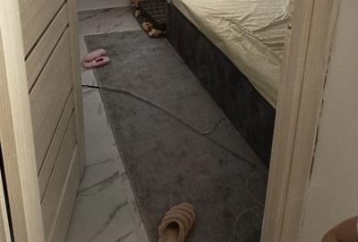 Apartament cu 2 camere decomandat în Teiul Doamnei - 3