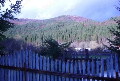 Casă cu 3 camere în Lepșa - 3