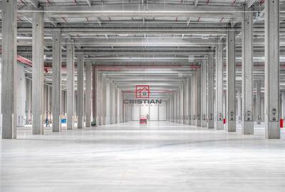 Spațiu comercial, de 10,000 mp, în Bolintin-Deal - 13