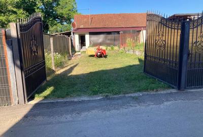 Casă cu 3 camere în Silvașu de Jos - 4