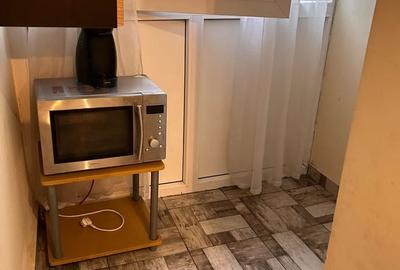 Apartament cu 3 camere decomandat, mobilat în Podu Roș - 10