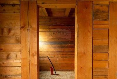 Duplex spatios - oportunitate pentru dezvoltatori sau doua familii - 46