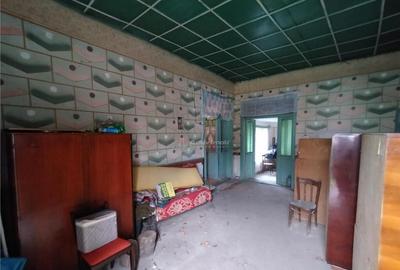 Bogodint, Casa 440mp cu 4 Hectare Teren, Pret Negociabil - 15