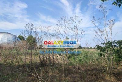 Teren intravilan Targoviste - 3