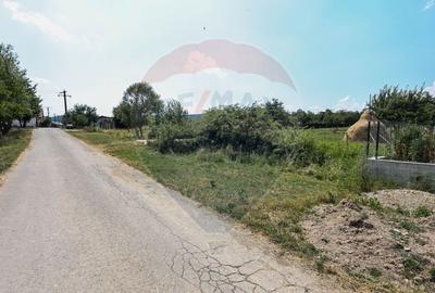 Teren cu priveliste Vulcan - 7