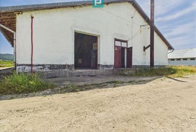 Hale 1800 mp fiecare – acces autostradă, Teiu, HD - 19