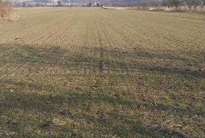 Teren de 7000 mp, în Gura Vitioarei - 3