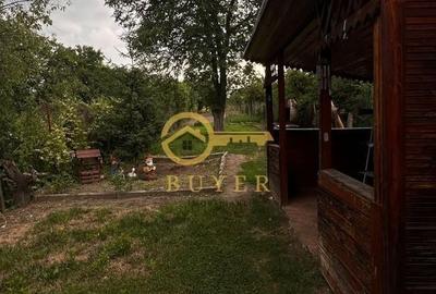 Casă cu 4 camere cu Teren 978 Mp în Turnișor - 18